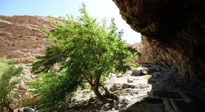  آبشار و چشمه لادر شهرستان اصفهان استان اصفهان