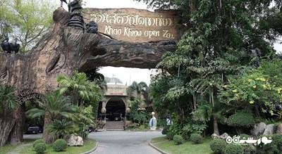 سرگرمی باغ وحش کائو کویی شهر تایلند کشور پاتایا