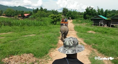سرگرمی دهکده فیل شهر تایلند کشور پاتایا