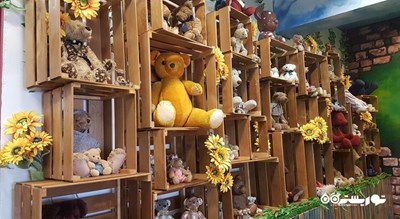 سرگرمی موزه خرس تدی پاتایا شهر تایلند کشور پاتایا