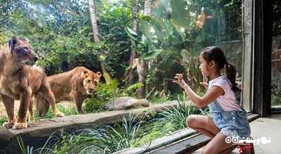 سرگرمی باغ وحش بالی شهر اندونزی کشور بالی