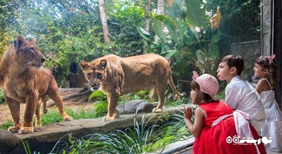 سرگرمی باغ وحش بالی شهر اندونزی کشور بالی