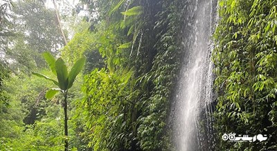  آبشار توکاد سپونگ شهر اندونزی کشور بالی
