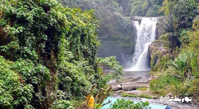  آبشار تگنونگان شهر اندونزی کشور بالی