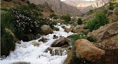  چشمه جوشک شهرستان فارس استان شیراز