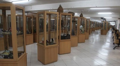  موزه ژئو پارک شهرستان هرمزگان استان قشم