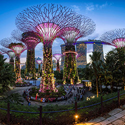 باغ های خلیج سنگاپور