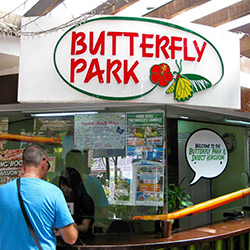 پارک پروانه ها و قلمرو حشرات