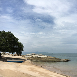 ساحل وانگ امات