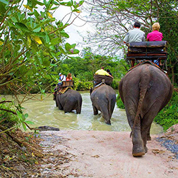 فیل سواری در پاتایا
