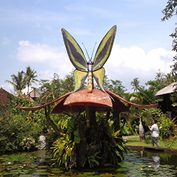 پارک پروانه بالی
